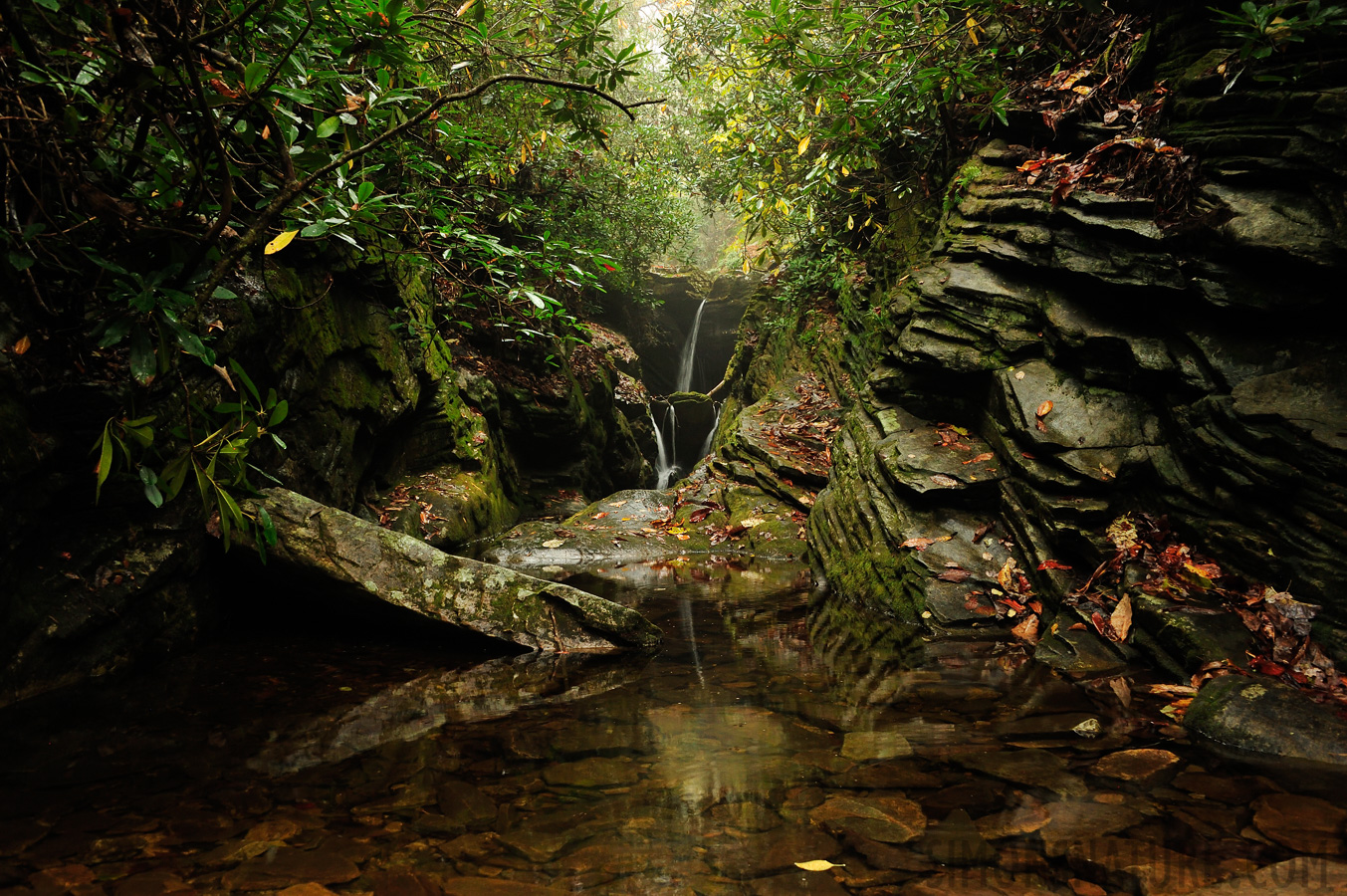 North Carolina [28 mm, 1/10 sec at f / 8.0, ISO 1600]